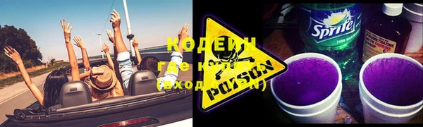 ECSTASY Белокуриха
