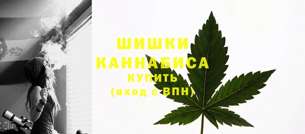 прущие крисы Беломорск
