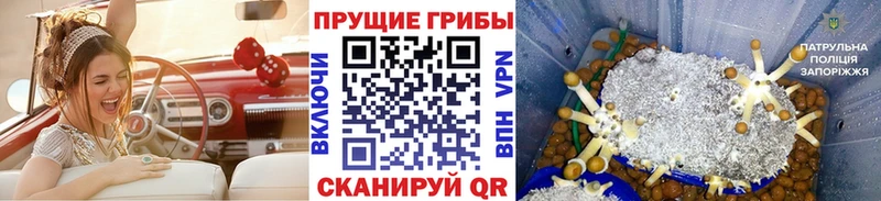 цены   KRAKEN вход  Галлюциногенные грибы Psilocybe  Таштагол 